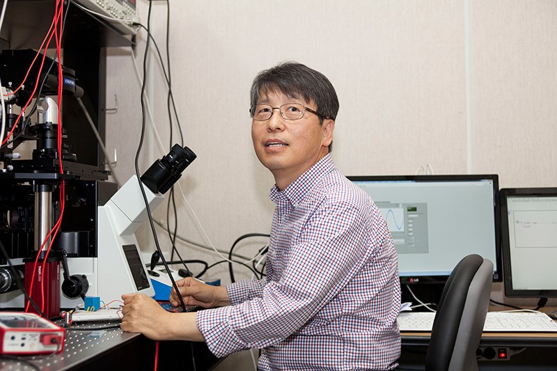 부드러운 분야는 제가 최고입니다에 대한 이미지2
