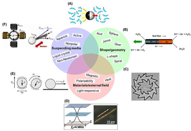 Collective mobility of active colloids distinguished by its solvent, particle shape, and external energy source.