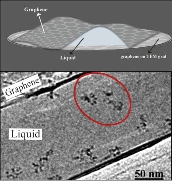 Naked molecules dancing in liquid become visible에 대한 이미지1